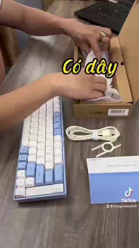 Bàn phím cơ không dây LANGTU GK65 Golden Switch có Hotswap hỗ trợ 3 chế độ kết nối cùng lúc pin dùng liên tục 7 ngày | BigBuy360 - bigbuy360.vn