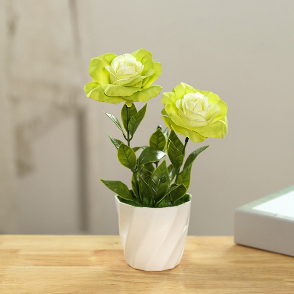 Chậu Cây Giả Dùng Trang Trí Có Thể Tái Sử Dụng