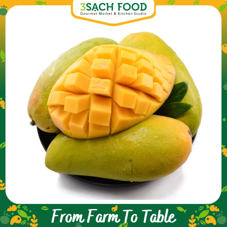 Xoài Cát Hòa Lộc Loại 1 - Size 500g/trái