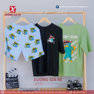 SET CARTON VỊT PERRY