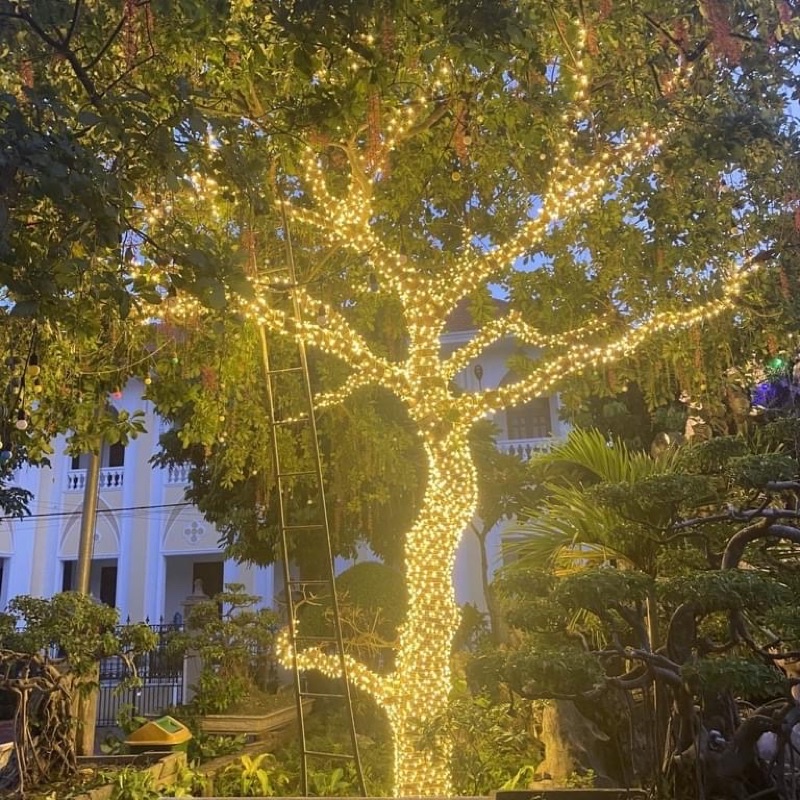 LED đúc F5, Led Hạt đế 9mm chống nước điện áp 12V,trang trí nhà,cuốn cây, sân vườn, trang trí ngoài trời