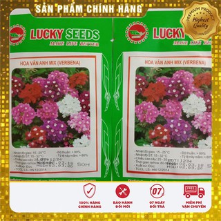 Hạt Giống Hoa Vân Anh ( VEBERNA)