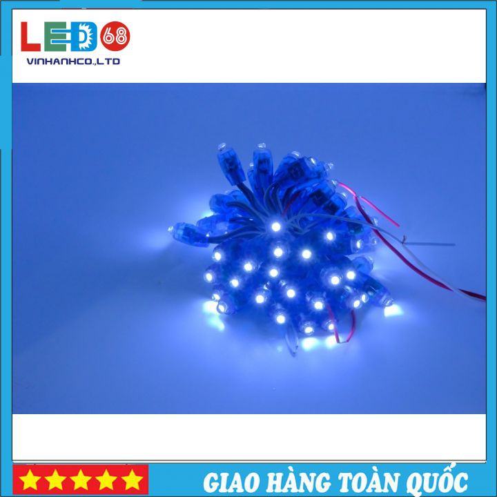 LED đúc F7 Đế 12 Bhống Nước Điện 5V Bóng Led Đẹp, Màu Sắc Nổi Bật