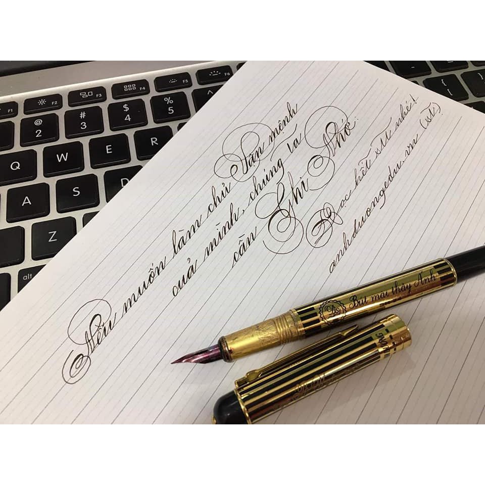 [Chính hãng] Bút Mài Thầy Ánh SH024 Calligraphy Gold - Bút Luyện Viết Chữ Đẹp