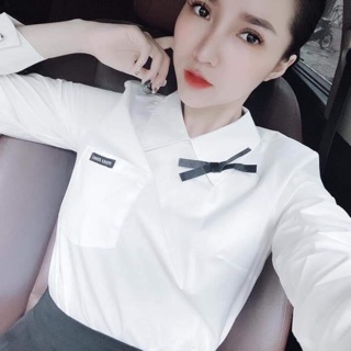 Bán sỉ sơ mi tag nơ cho nữ