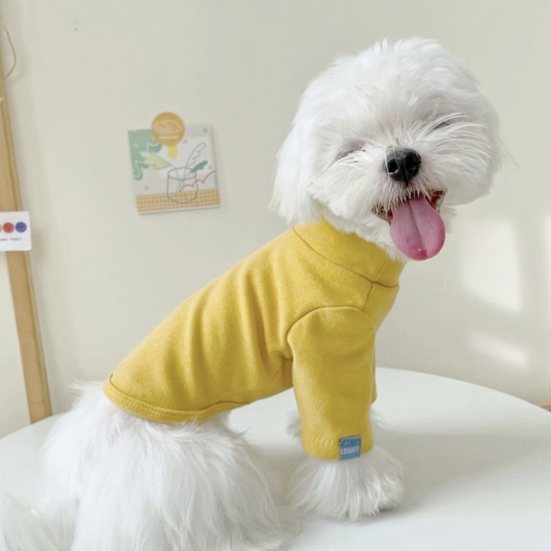 Áo cho chó mèo mùa thu BECHON A120