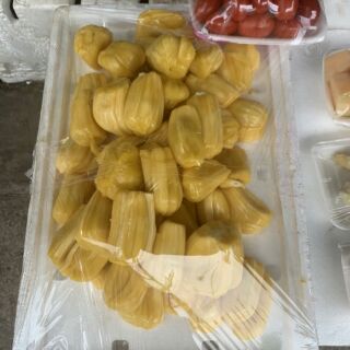 Cây mít ta giống