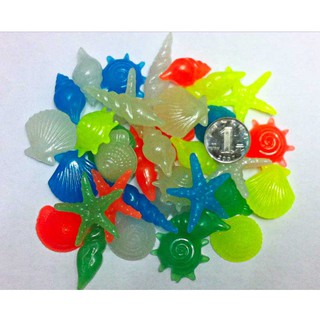 Sỏi dạ quang đãng phát sáng hình sinh vật biển - phụ kiện trang hoàng cho thác nước bể cá động vật biển vỏ ốc sao biển s