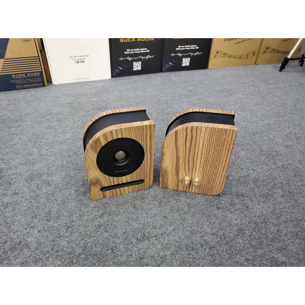 Cặp Loa Super Treble Pioneer E8VG