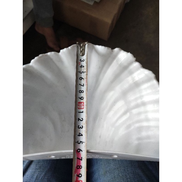 chậu ốp tường áp tường treo tường trồng cây hình sò 3 tấc (kt 30x16x11cm)
