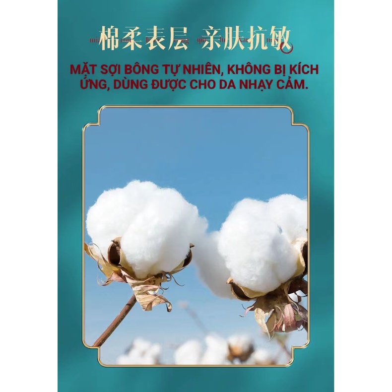 COMBO 5 GÓI BĂNG VỆ SINH THẢO DƯỢC NGẢI CỨU NANO BẠC KHÁNG KHUẨN 1MM AISHUBAO 245MM GÓI 10M NỘI ĐỊA TRUNG