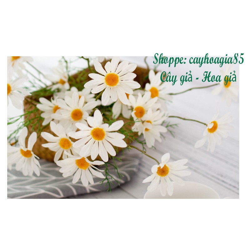 HOA CÚC HOẠ MI GIẢ Giống Thật - 1 Cành 5 Bông
