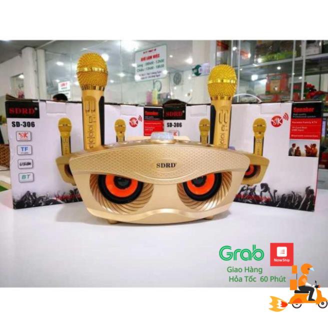 Loa Hát karaoke SD 306- Loa karaoke kèm 2 micro sạc không dùng pin - Âm thanh to Màu Ngẫu Nhiên