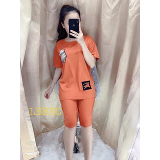 Combo 2 đồ bộ cotton hàng mặc nhà