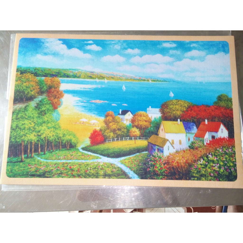 Thảm lỳ trang trí, chùi chân, siêu thấm 3d 40x60 (ảnh thật)