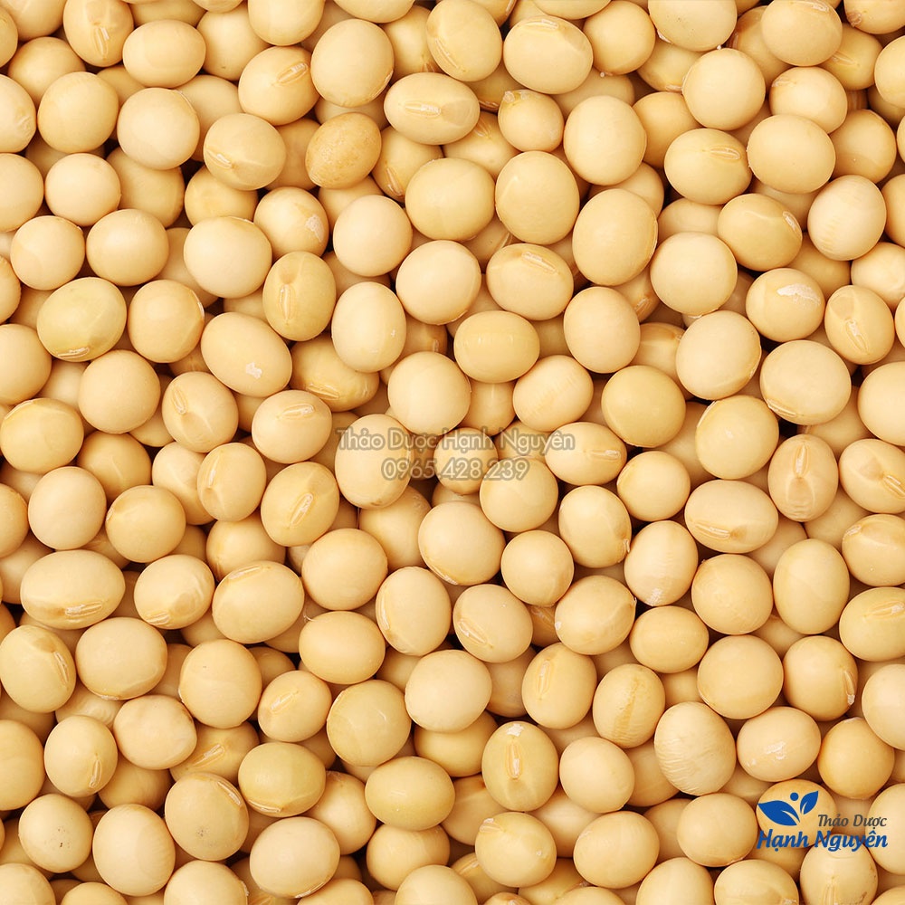 Hạt đậu nành 100g (Đỗ tương, giống thuần chủng không biến đổi gen, dùng làm sữa hạt, tàu hũ) - Thảo Dược Hạnh Nguyên