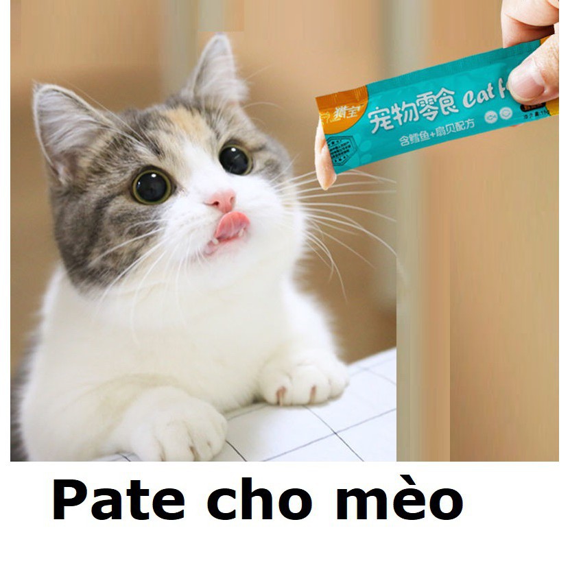 Doremiu- (Lẻ 1) Pate Thanh Cat food &amp; Ciao dạng Gel cho thức ăn dạng ướt cho mèo đồ ăn vặt mèo snack súp thưởng