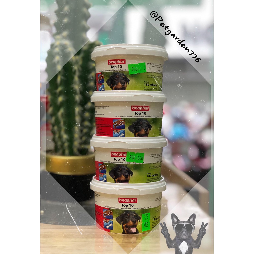 VITAMIN BEAPHAR CHO CHÓ  THỰC PHẨM CHỨC NĂNG BỔ SUNG DINH DƯỠNG - VITAMIN, KHOÁNG CHO CHÓ