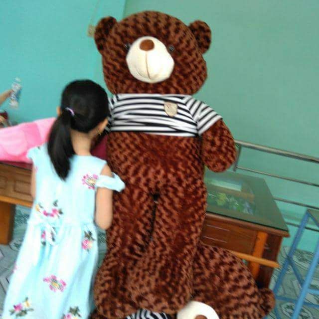 Gấu bông Teddy khổ 1m6