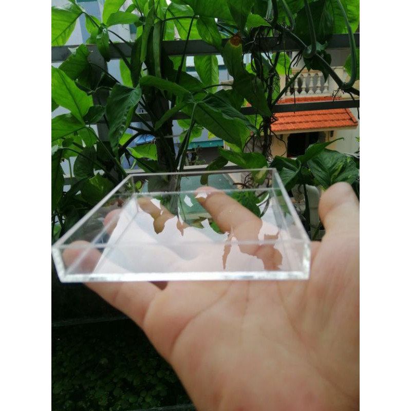 khay đựng thức ăn cho tép