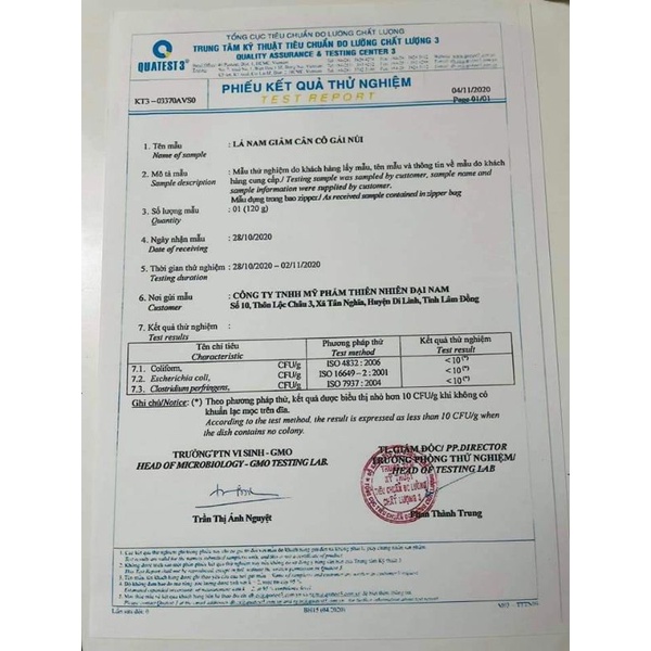 LÁ NAM GIẢM CÂN - CÔ GÁI NÚI