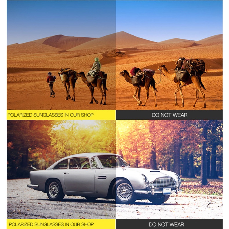 Kính Mát AIELBRO Phân Cực Phong Cách Vintage Sang Trọng