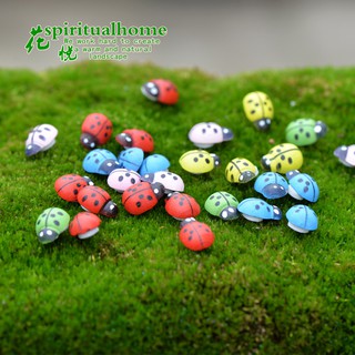 Combo 10 con bọ dùng cho trang trí tiểu cảnh