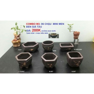 combo  6 chậu mili  tặng  1