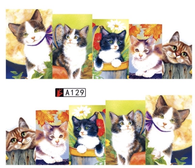 ✅Stick nước 5D hình mèo dán móng tay.