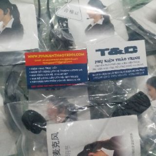 Mic trợ giảng không dây
