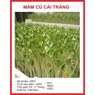 Hạt giống Mầm củ cải trắng - 50gram Lucky