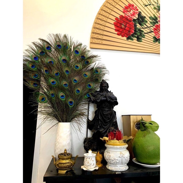 Lông công ~90cm HÀNG LOẠI 1 mắt lớn | BigBuy360 - bigbuy360.vn