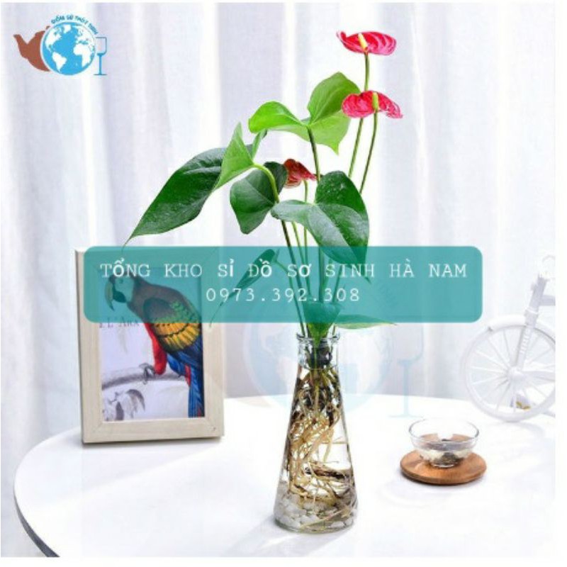 Lọ Hoa Trang Trí Thủy Tinh Tam Giác 350ml Decor