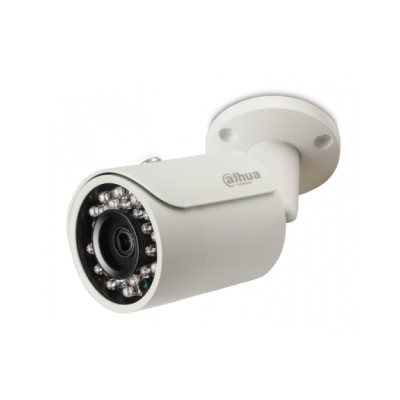 Camera IP Dahua DS2230FIP 2.0 (DSS)