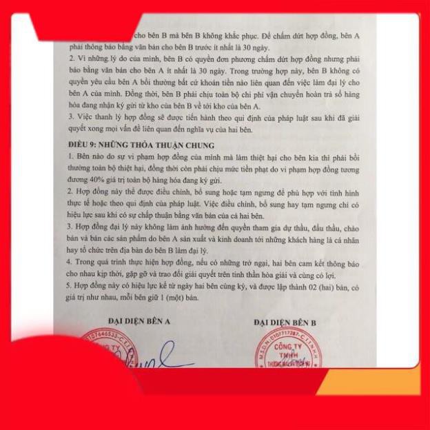 Son rose phiên bản 2019