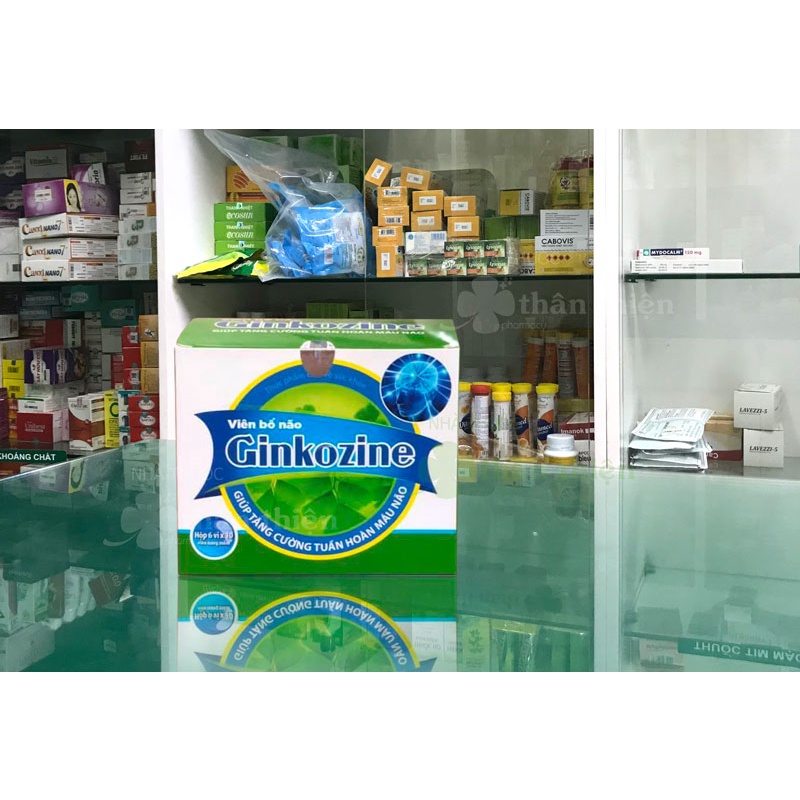Viên Bổ Não Ginkozine- Giúp hỗ trợ hoạt huyết, tăng cường tuần hoàn máu lên não (Hộp 12 vỉ x 15 viên)