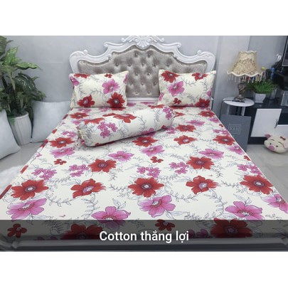 set cotton hàn quốc + mền m6=630k, m8=650k