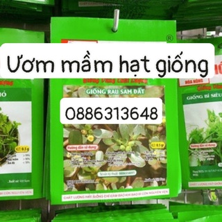 Hạt giống rau sam đất HN (0.5g)