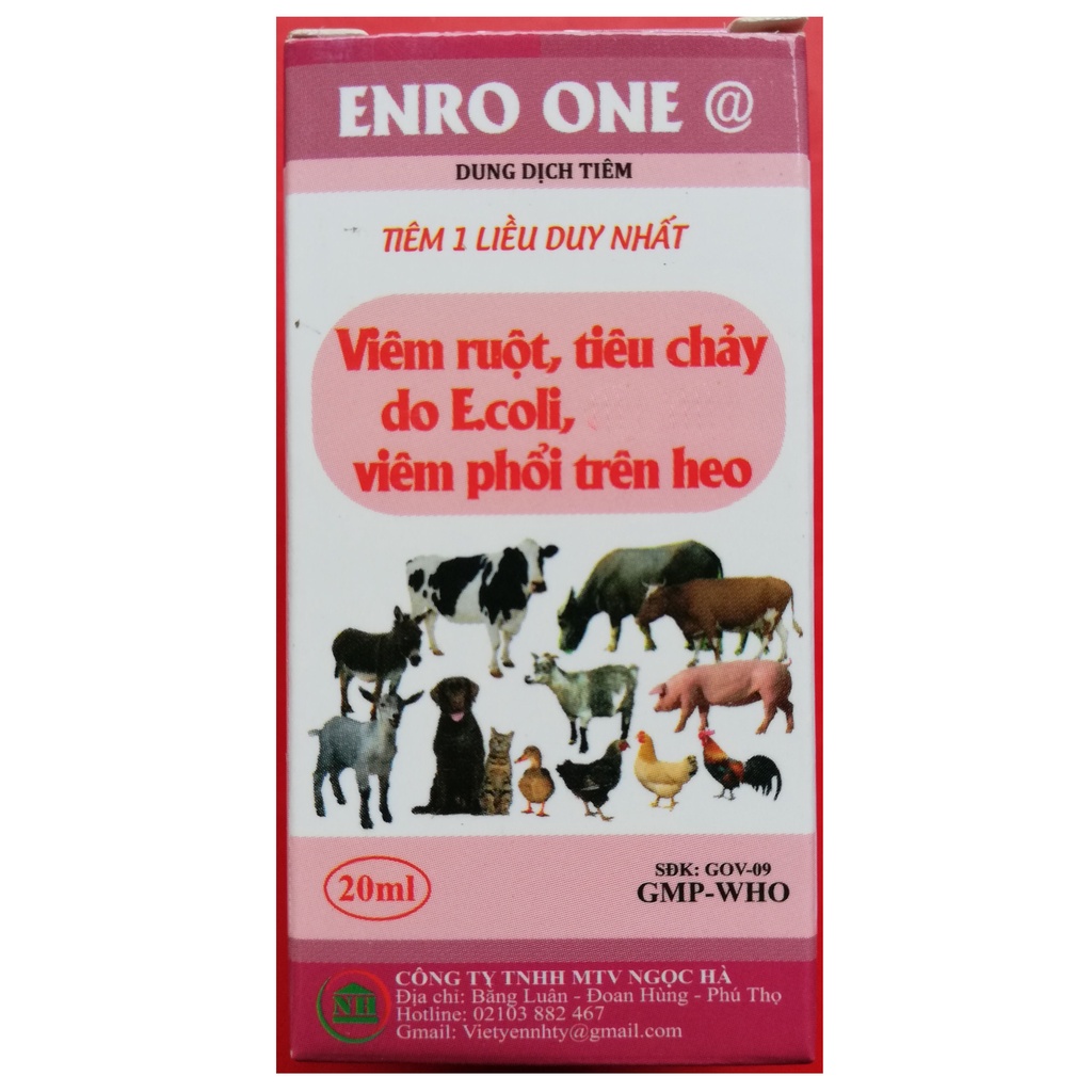 1 lọ ENRO ONE 20ml Chuyên dùng cho cho gia súc, gia cầm, chó mèo Trâu, bò, lợn, dê, cừu, ngựa