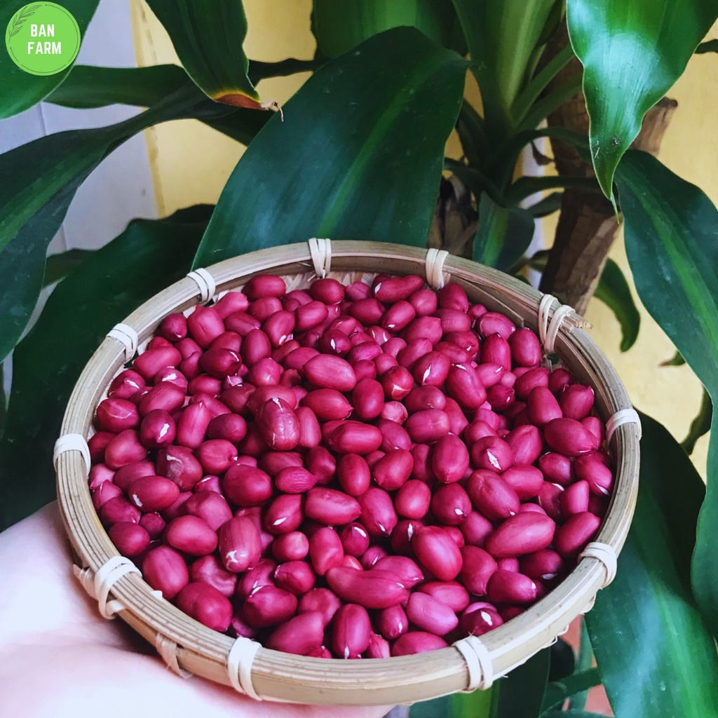 Đậu phộng đỏ  Banfarm đặc sản - thơm bùi béo 500g