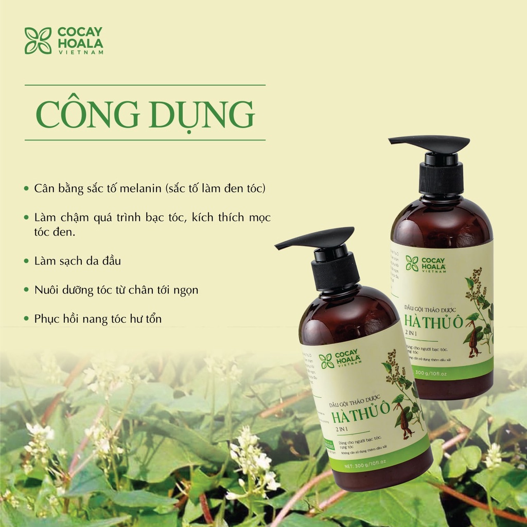 Dầu Gội Hà Thủ Ô Kích Thích Sắc Tố Mầm Tóc Cocayhoala 300g