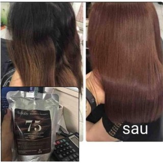 thuốc nhuộm tự cân bằng phủ bạc sasaba 450ml (màu nâu socola 75)