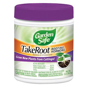 Sản phẩm siêu ra rễ và chống khuẩn nhập khẩu trực tiếp từ Mỹ TAKE ROOT hũ 50gr