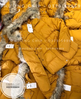 Phao Bershka