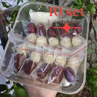 set yến mini dường phen 1 viên 2g