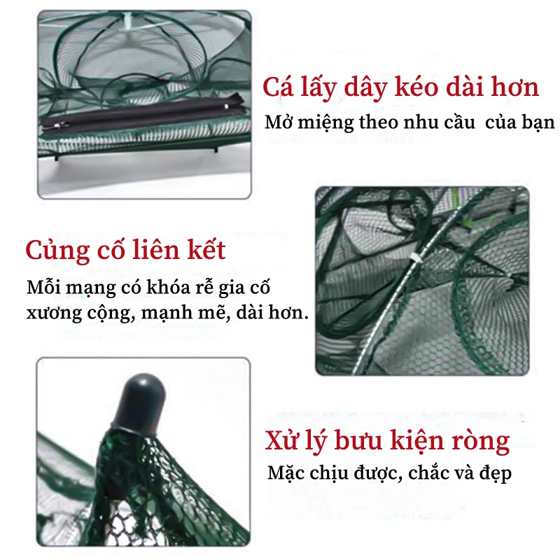 Lưới Bát Quái Bắt Tôm Cá, Lồng đánh bắt cá bát quái 6-8-12-16, Lồng Ô, Lưới Bát Quái Bắt Cá, Lươn, Trạch, Tôm.