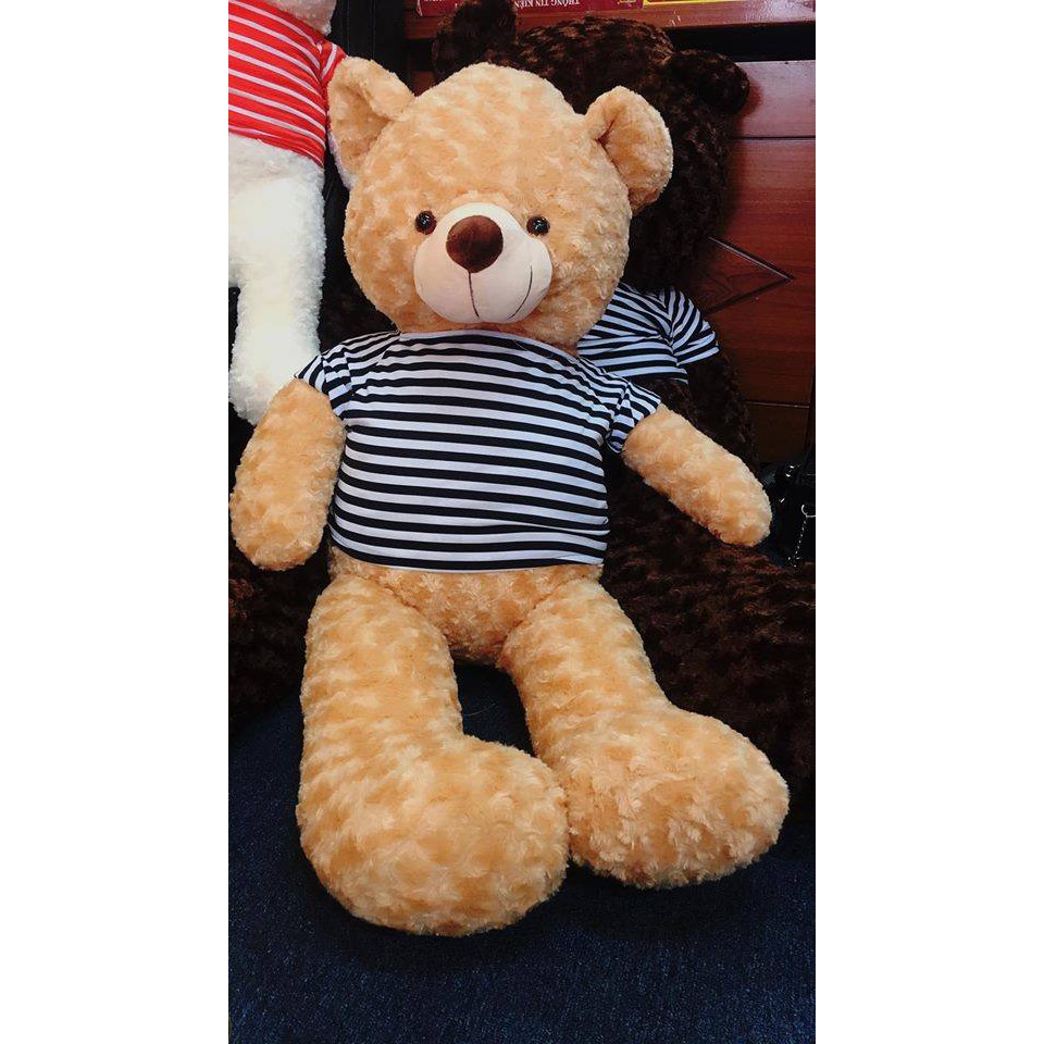 Gấu bông Teddy màu vàng mật ong đủ kích thước từ 90cm-1m9