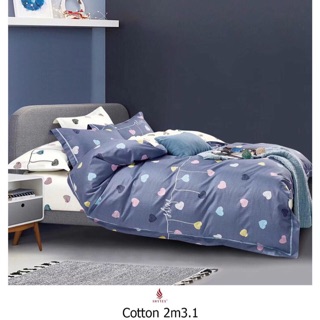 Bộ drap hàn quốc 100% cotton