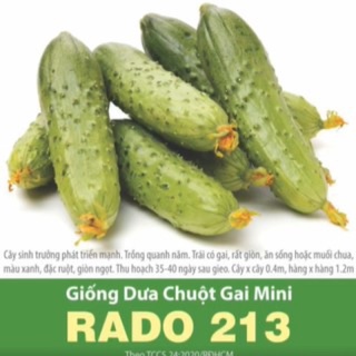 Hạt Giống Dưa chuột gai mini 213