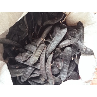Bồ kết khô 100gram